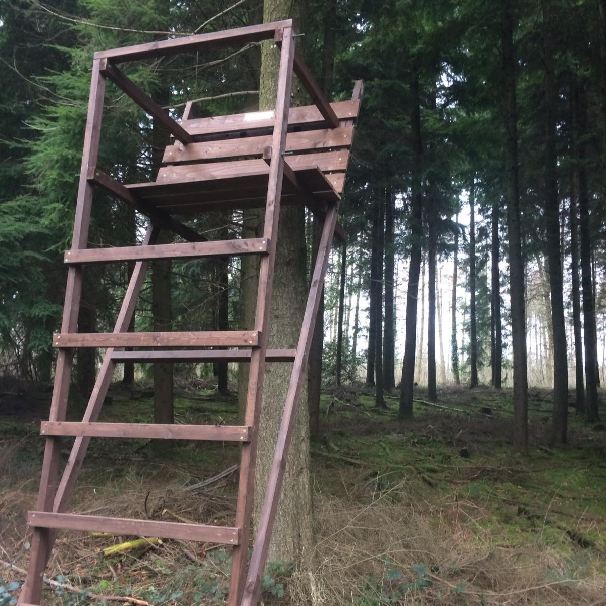 Wooden hunting blind attached to a tree in a forest setting
