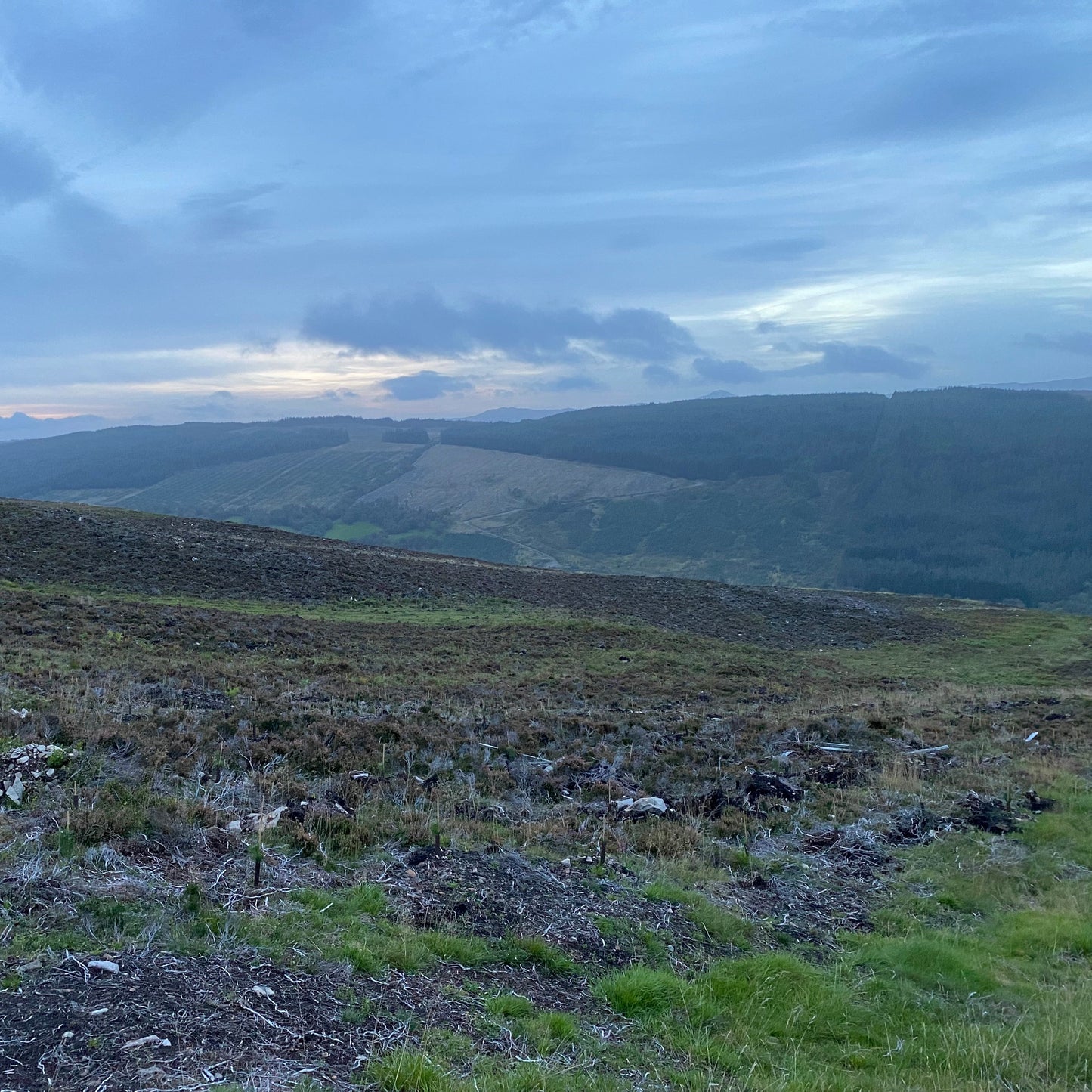 Scotland - Near Pitlochry PH18 - Guided Stalking