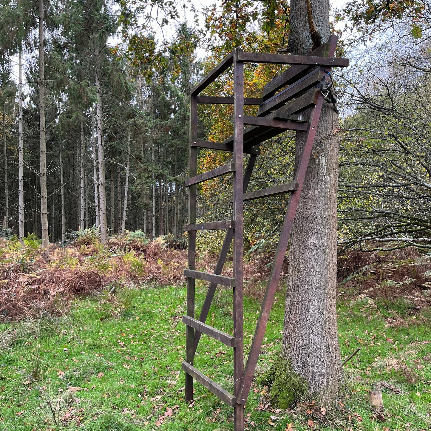DEER STALKING OUTING - UNACCOMPANIED HIGH SEAT