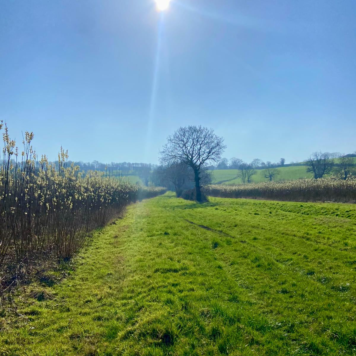 Yorkshire - Near Harewood LS17 - Unguided Stalking