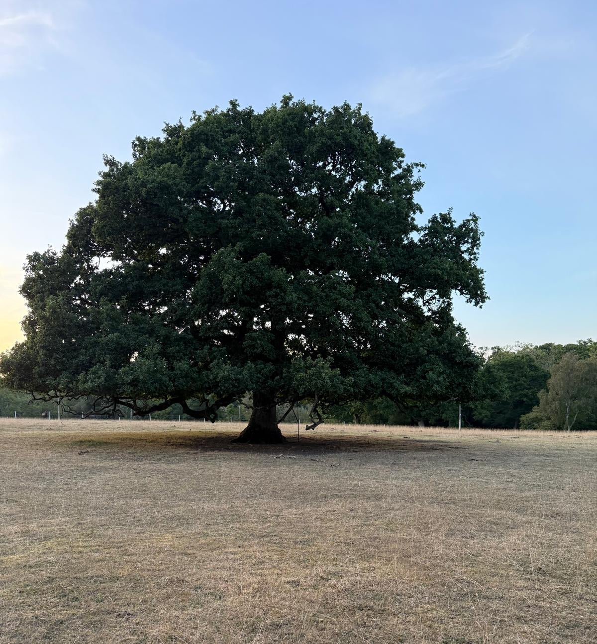 Hampshire – Near Newbury RG20 – Guided Stalking