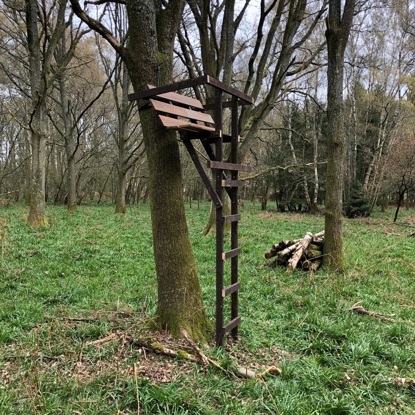 DEER STALKING OUTING - UNACCOMPANIED HIGH SEAT