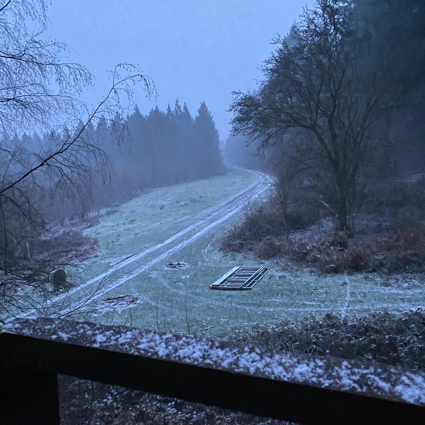 DEER STALKING OUTING - UNACCOMPANIED HIGH SEAT