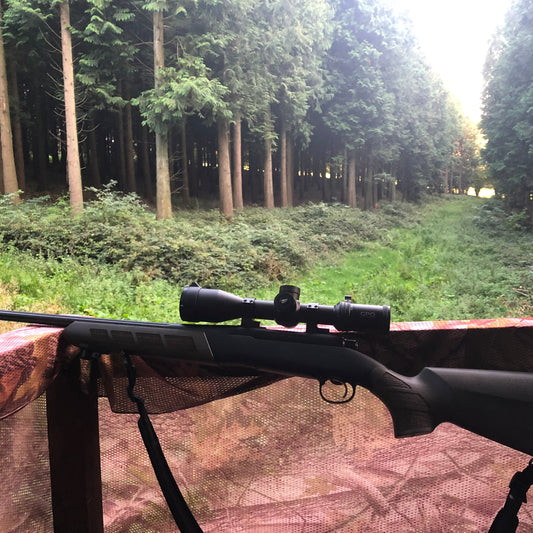 FALLOW & MUNTJAC DOE CULLING (HAMPSHIRE - RG7) - NO SHOT FEES, UNLIMITED CULL DAYS FOR 1-9 PEOPLE