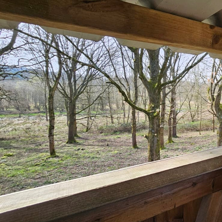 Berkshire - Near Kintbury RG17 - Unguided Stalking