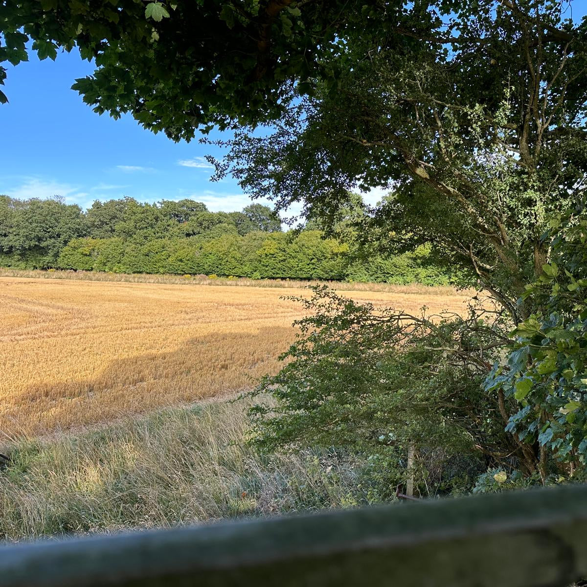 Hampshire – Near Newbury RG20 – Unguided Stalking