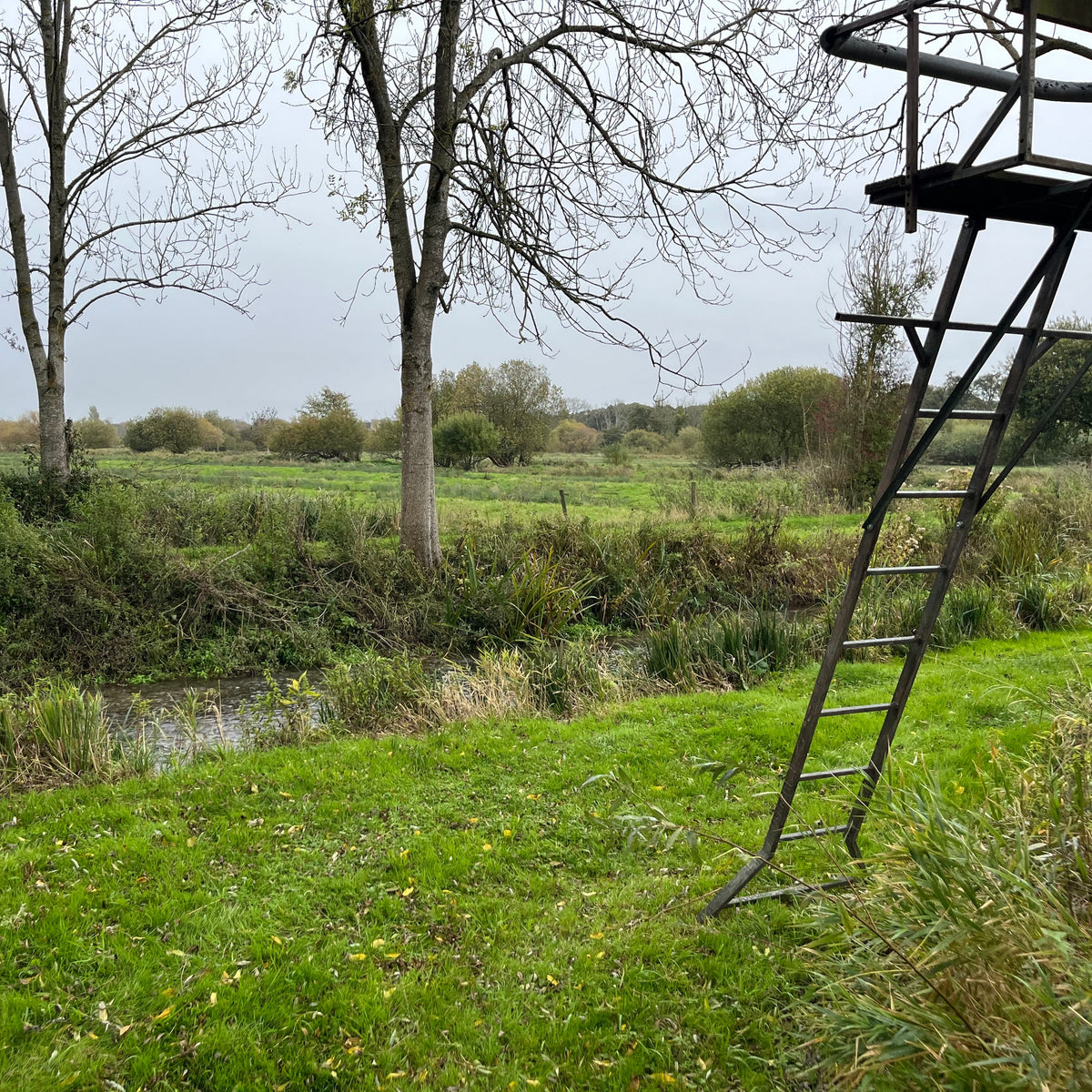 Berkshire - Near Kintbury RG17 - Guided Stalking