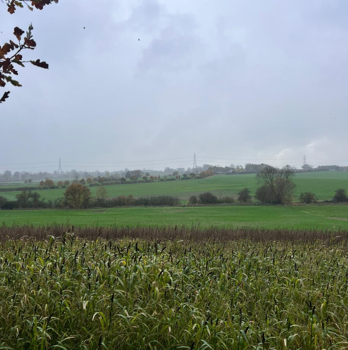Buckinghamshire - Near Milton Keynes MK17 - Unguided Stalking