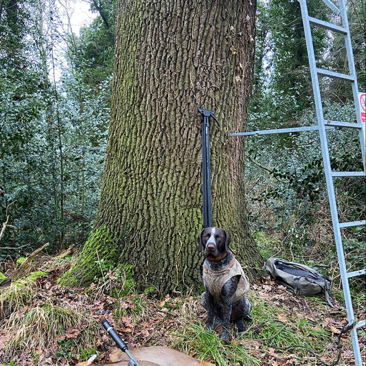 Best Time of Year for Deer Stalking in the UK (Month-by-Month Guide)