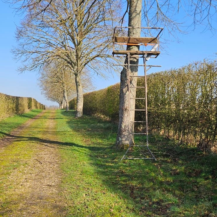 Berkshire - Near Kintbury RG17 - Unguided Stalking