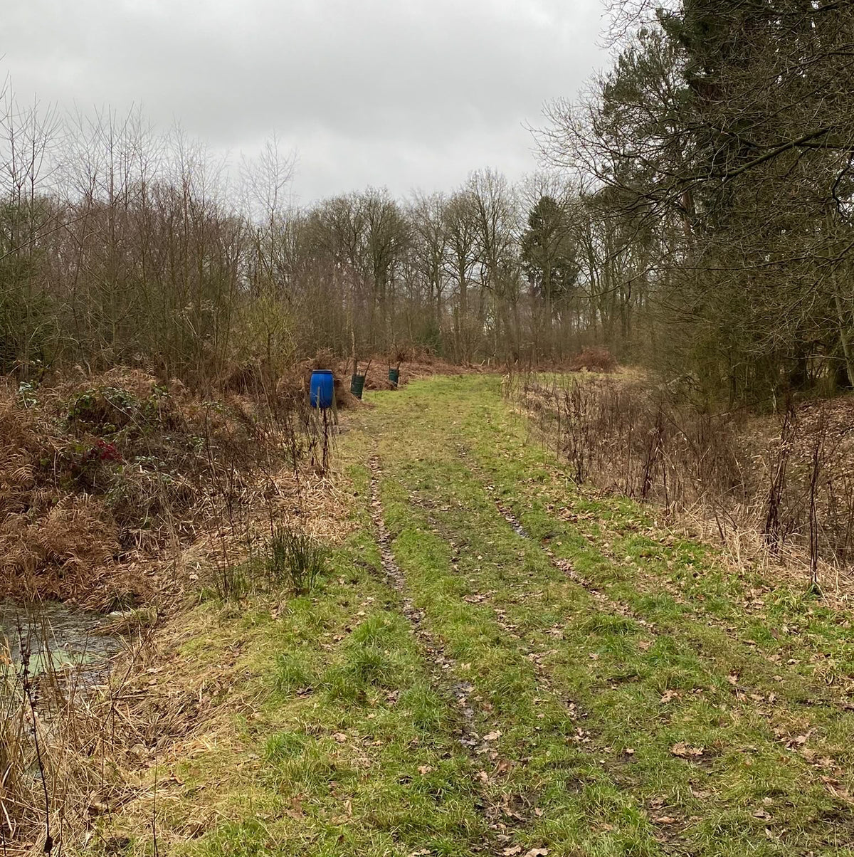 Yorkshire - Near Garforth, Leeds LS25 - Guided Stalking