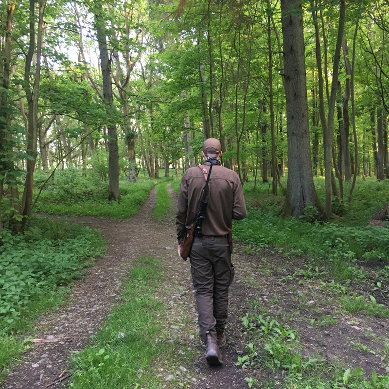 Walking a woodland track on a guided deer stalk