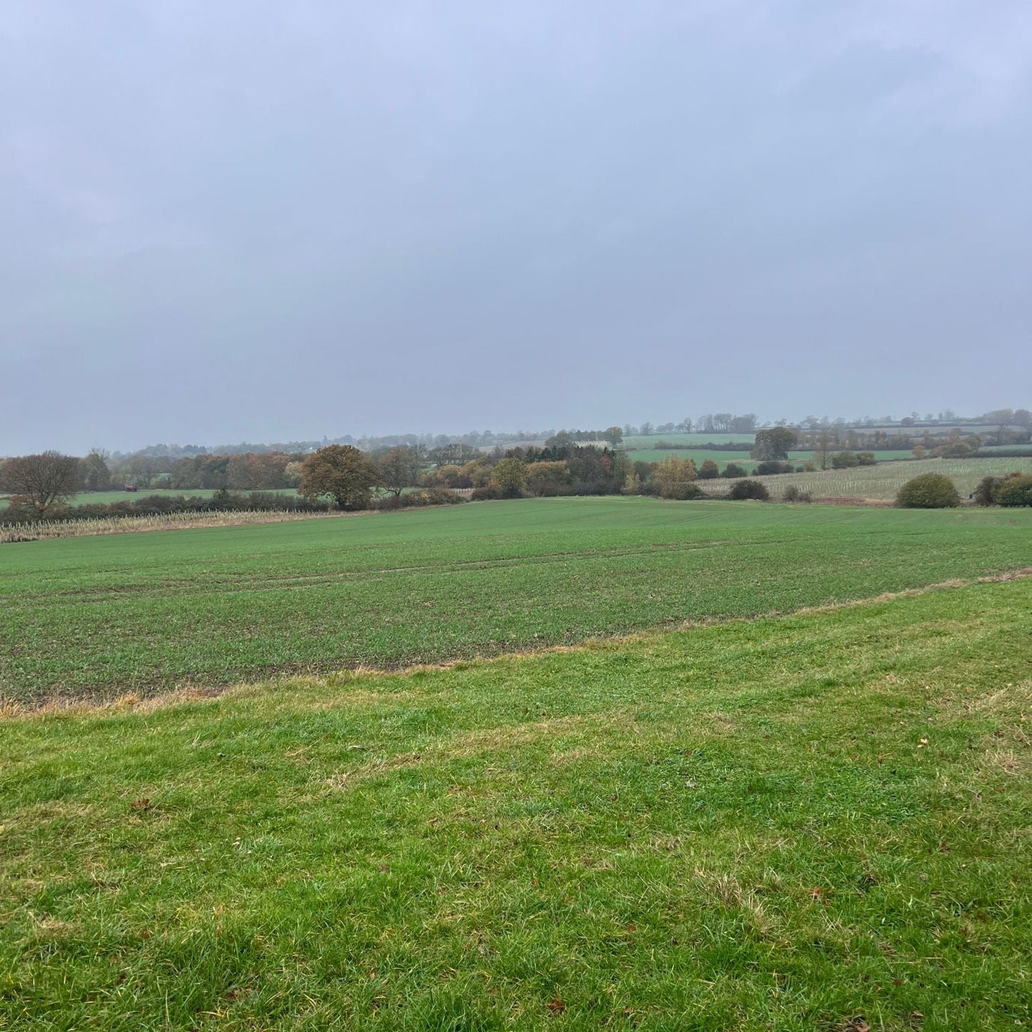 Buckinghamshire - Near Milton Keynes MK17 - Guided Stalking