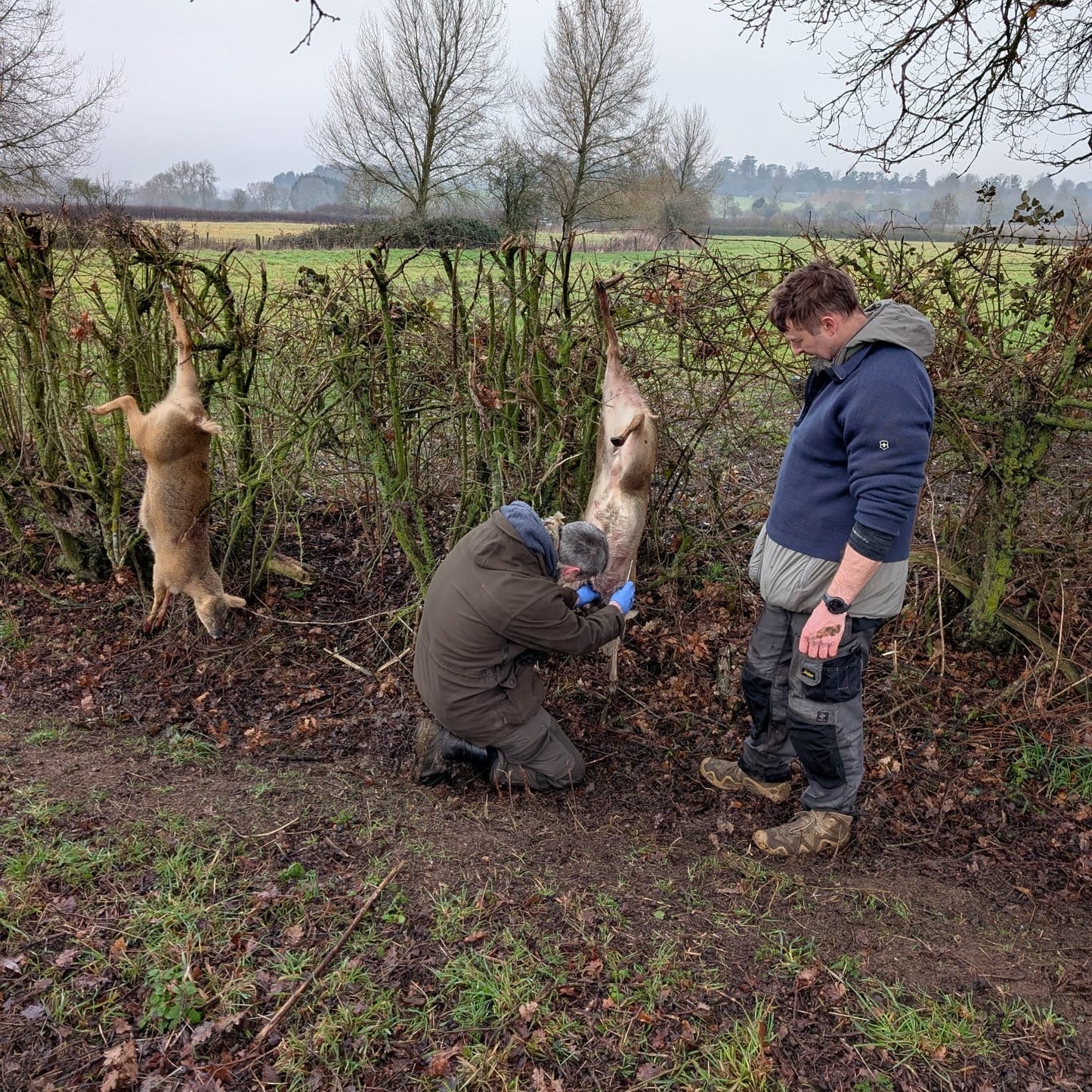 Buckinghamshire - Near Milton Keynes MK17 - Guided Stalking