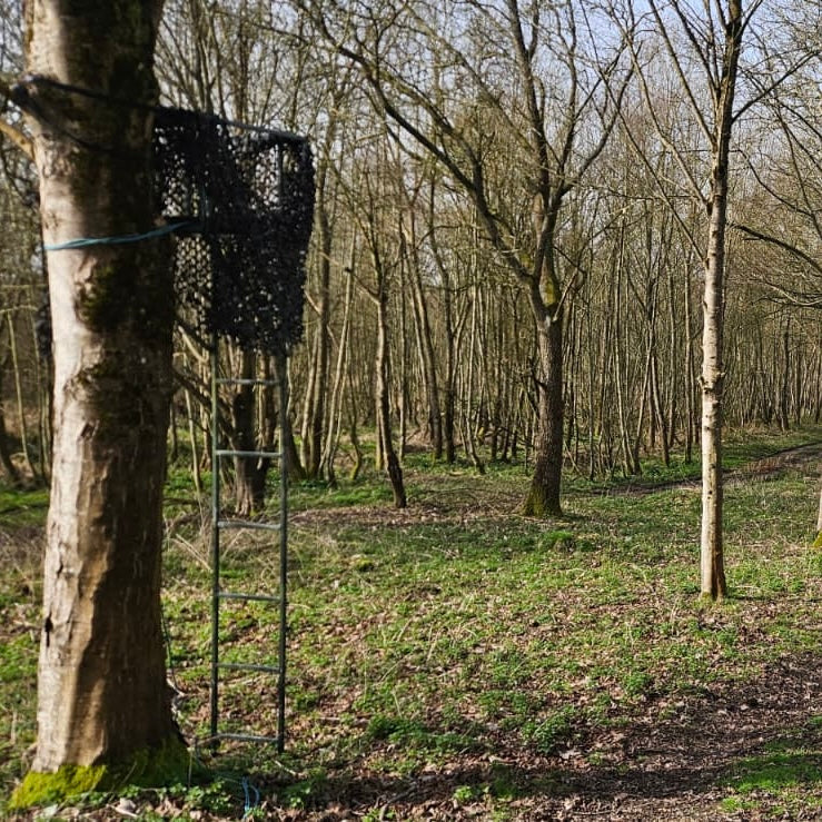 Berkshire - Near Kintbury RG17 - Unguided Stalking
