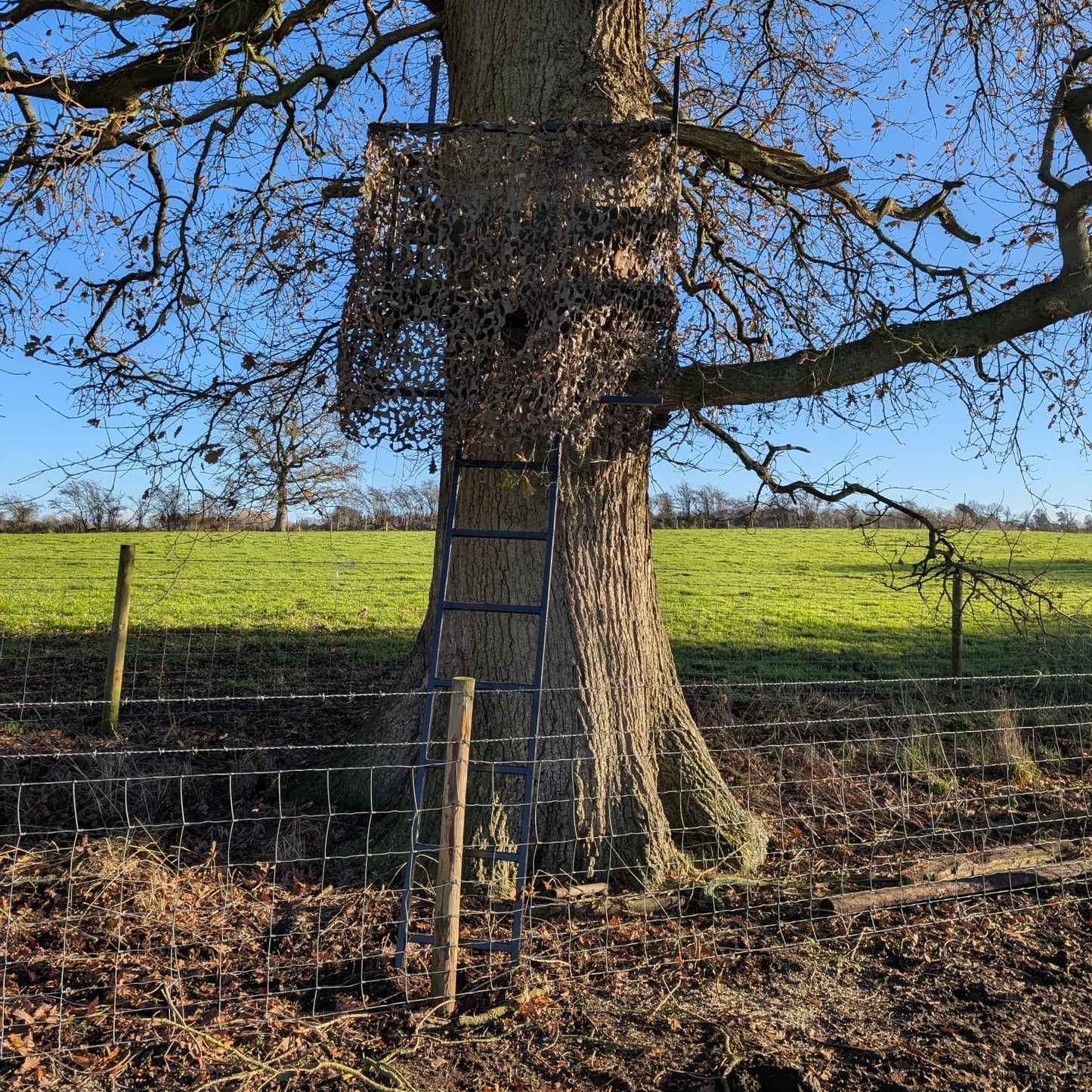 Buckinghamshire - Near Milton Keynes MK17 - Unguided Stalking