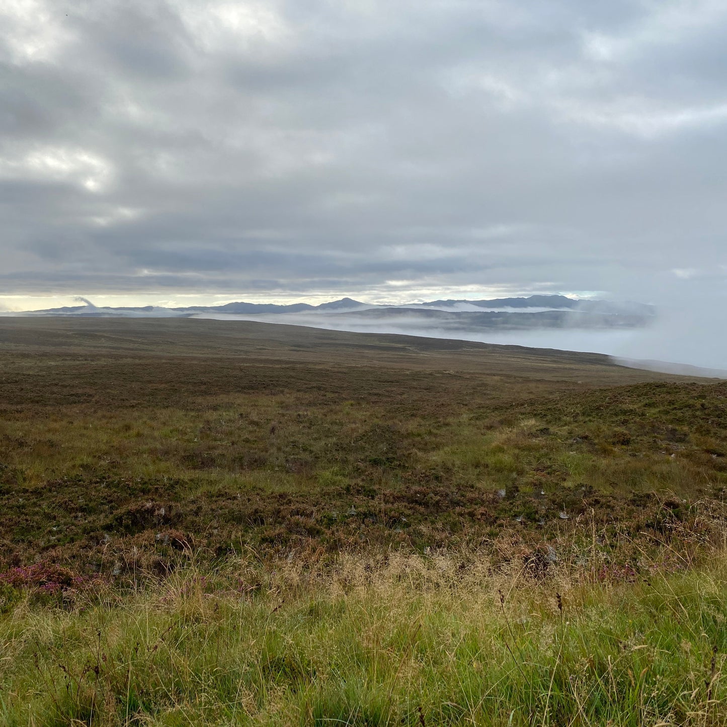 Scotland - Near Pitlochry PH18 - Guided Stalking