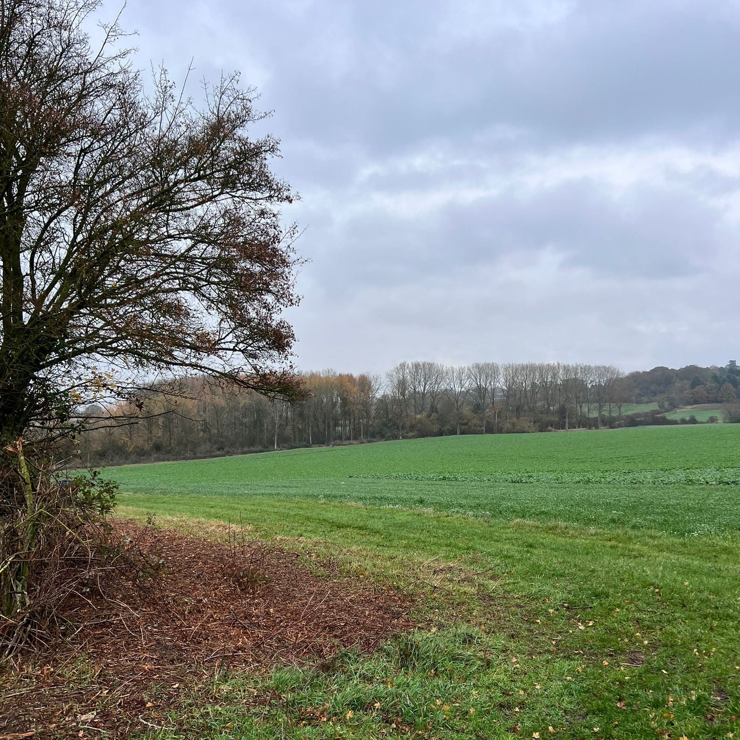 Buckinghamshire - Near Milton Keynes MK17 - Unguided Stalking
