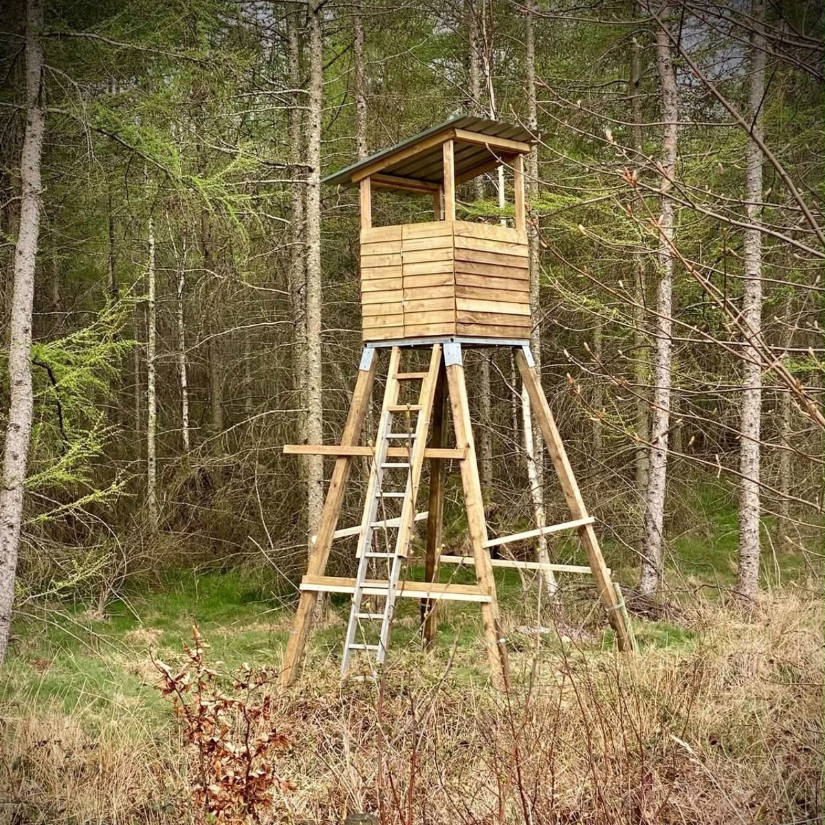 Yorkshire - Near Garforth, Leeds LS25 - Guided Stalking