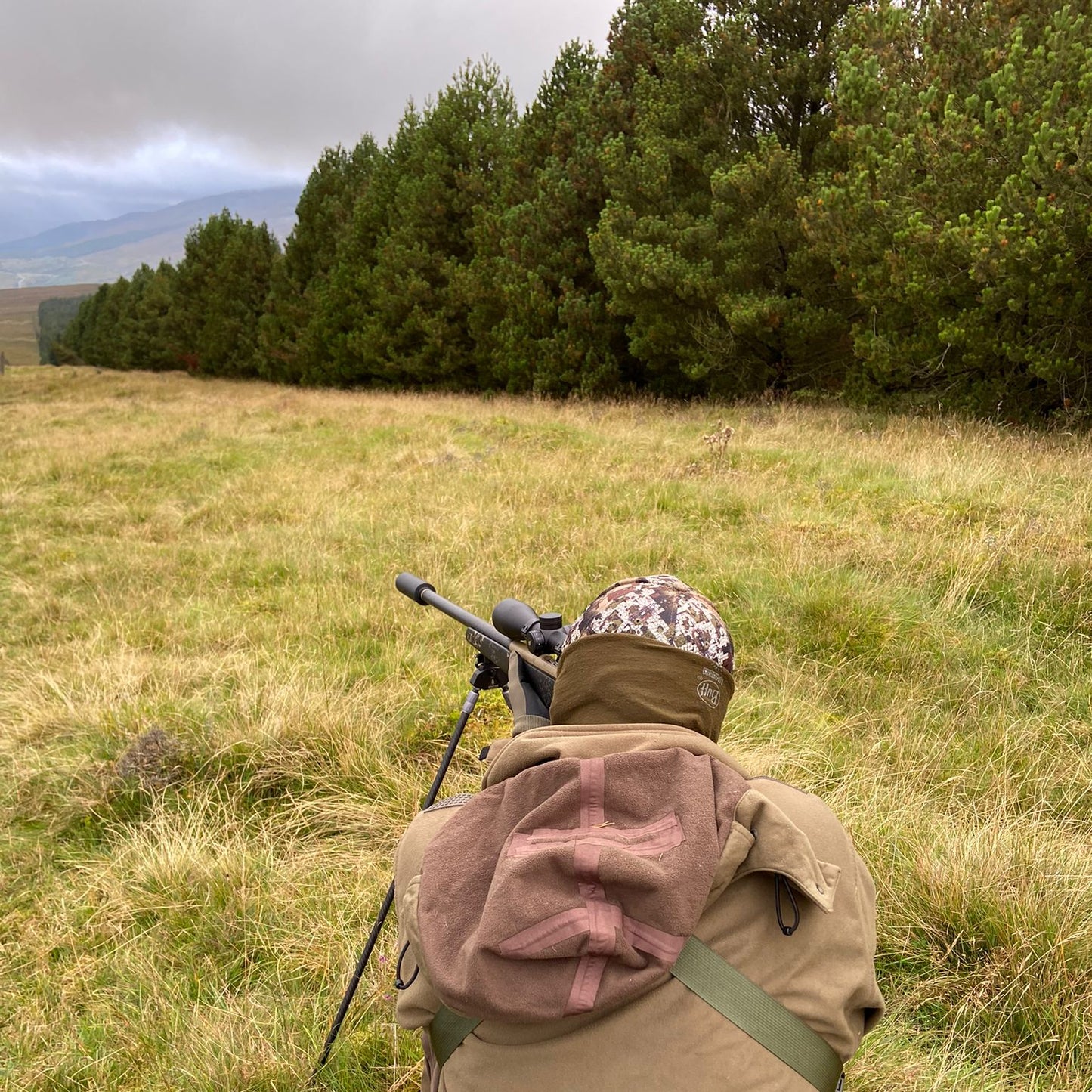 Scotland - Near Pitlochry PH18 - Guided Stalking