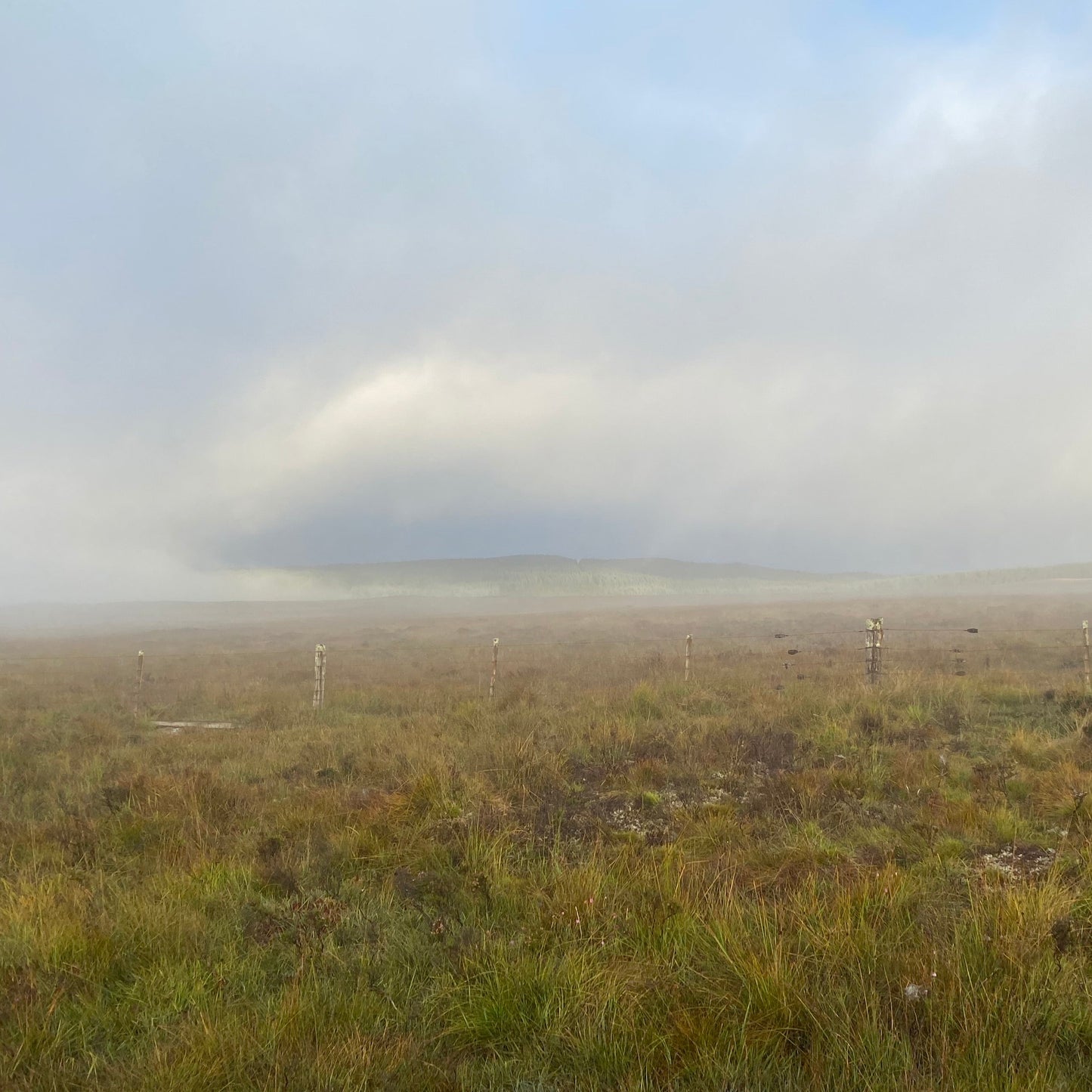Scotland - Near Pitlochry PH18 - Guided Stalking