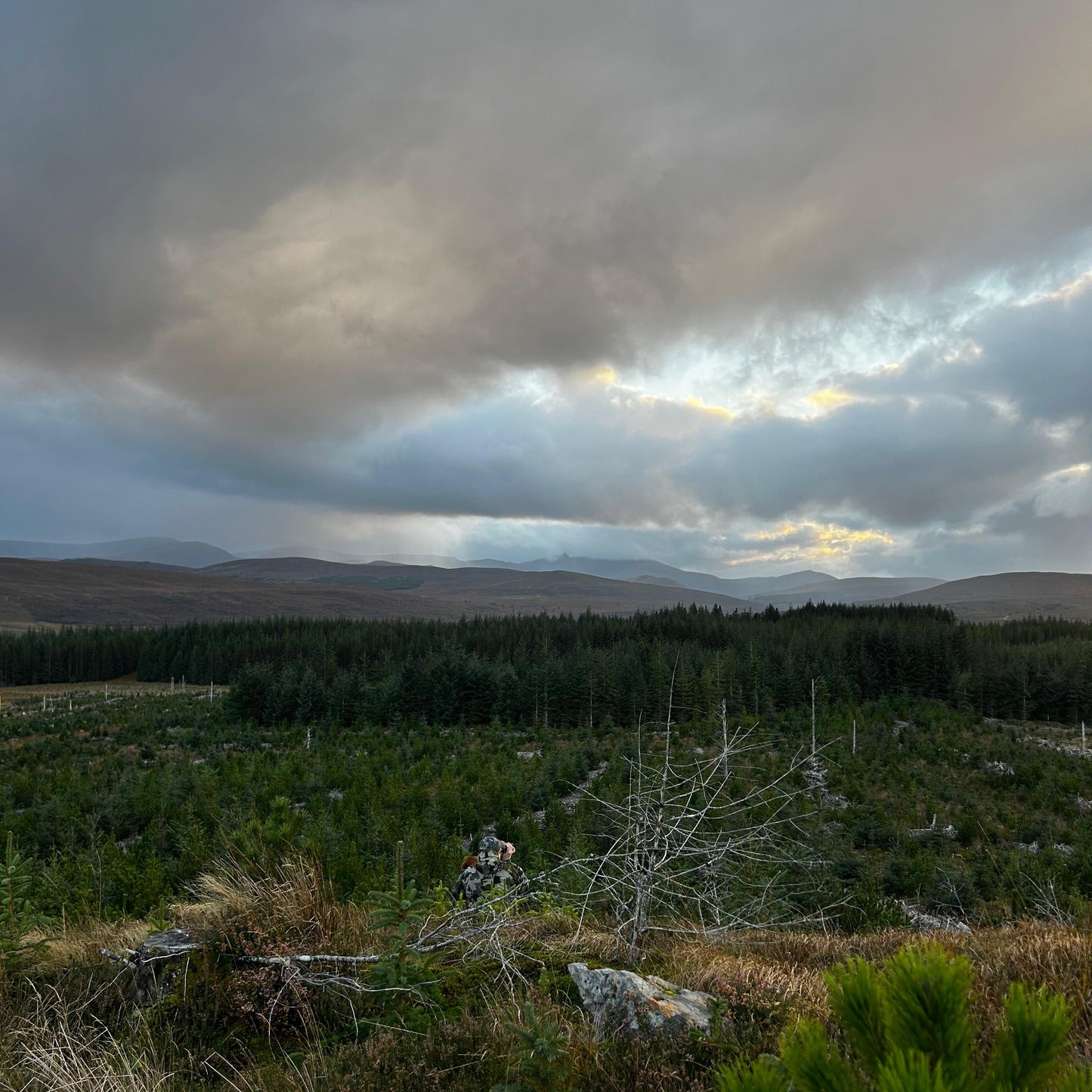 Scotland - Near Lairg IV27 - Guided Stalking
