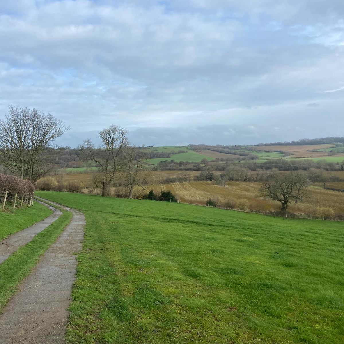 Yorkshire - Near Harewood LS17 - Guided Stalking