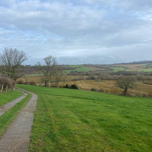 Yorkshire - Near Harewood LS17 - Unguided Stalking