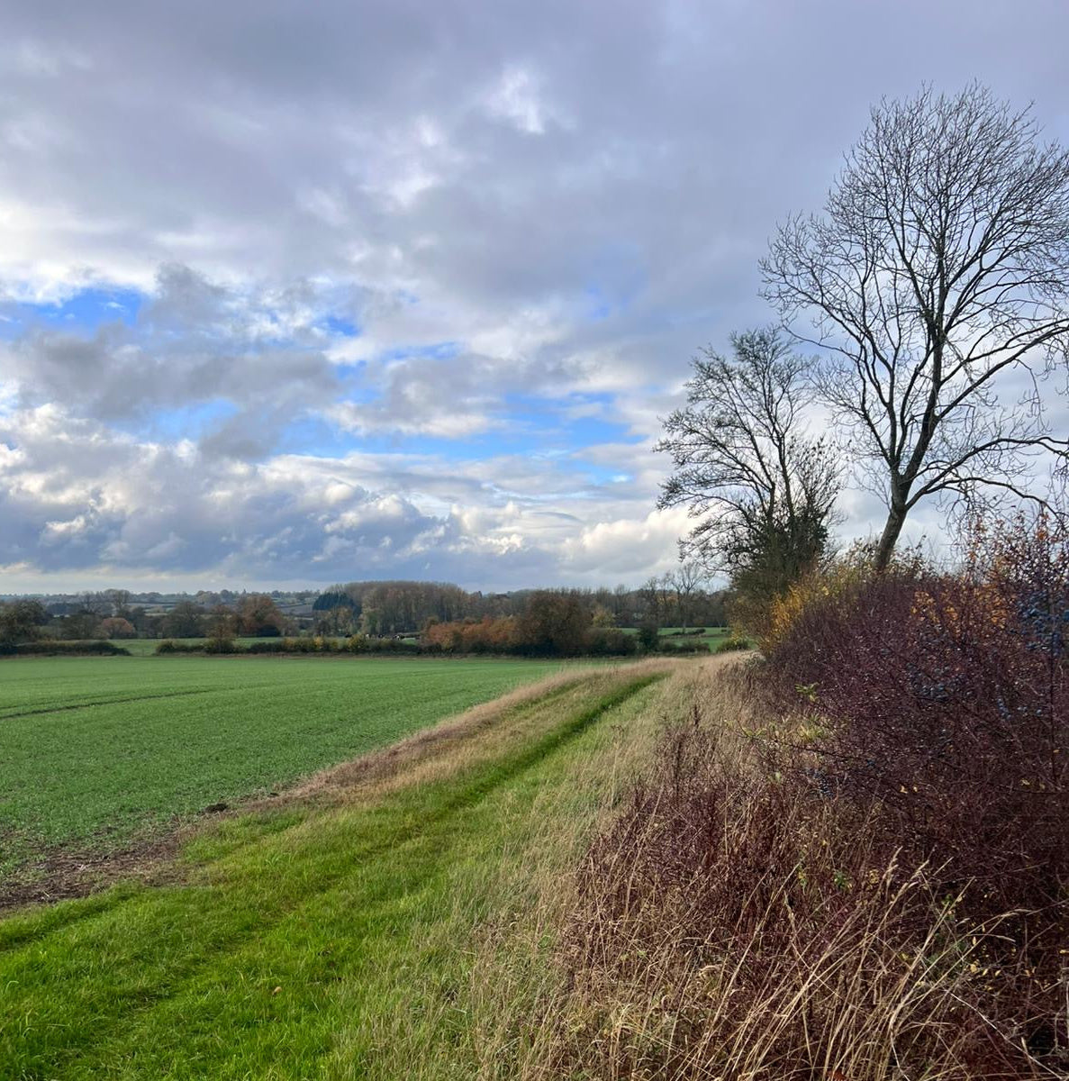 Buckinghampshire - Near Milton Keynes MK17 - Cull & Management Day