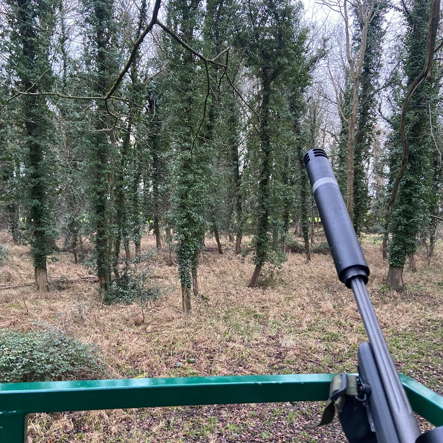 Cambridgeshire- Near Cambridge CB2 - Guided Stalking