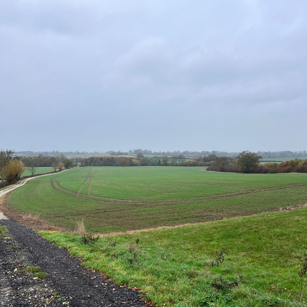 Buckinghamshire - Near Milton Keynes MK17 - Guided Stalking