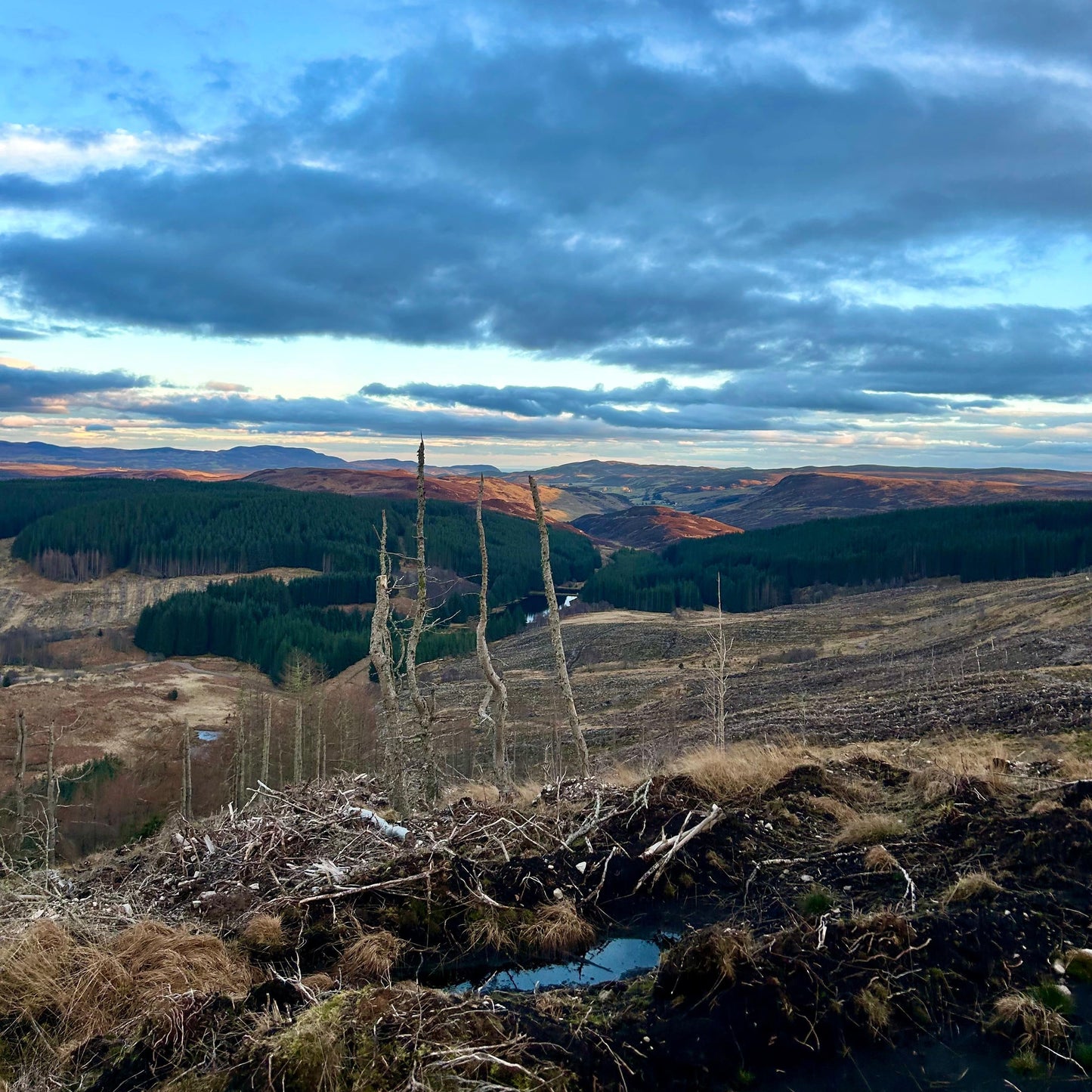 Scotland - Near Lairg IV27 - Guided Stalking