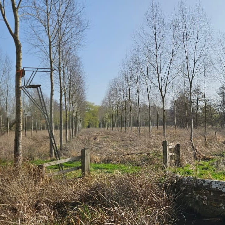 Berkshire - Near Kintbury RG17 - Unguided Stalking