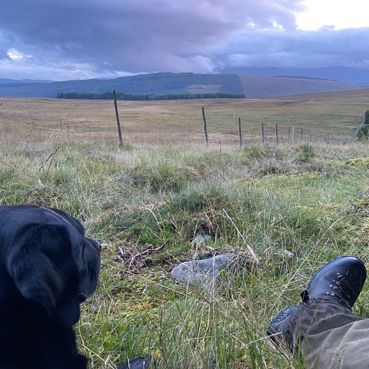 Scotland - Near Pitlochry PH18 - Guided Stalking