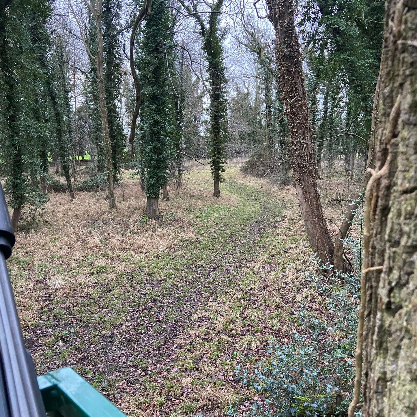 Cambridgeshire- Near Cambridge CB2 - Guided Stalking