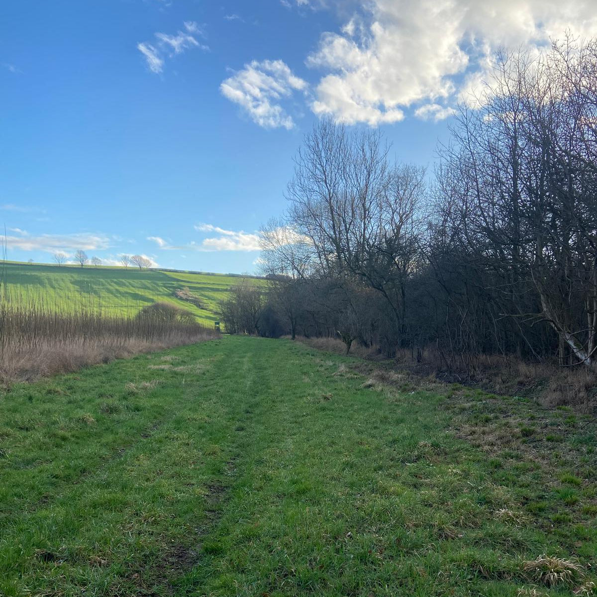 Yorkshire - Near Harewood LS17 - Guided Stalking