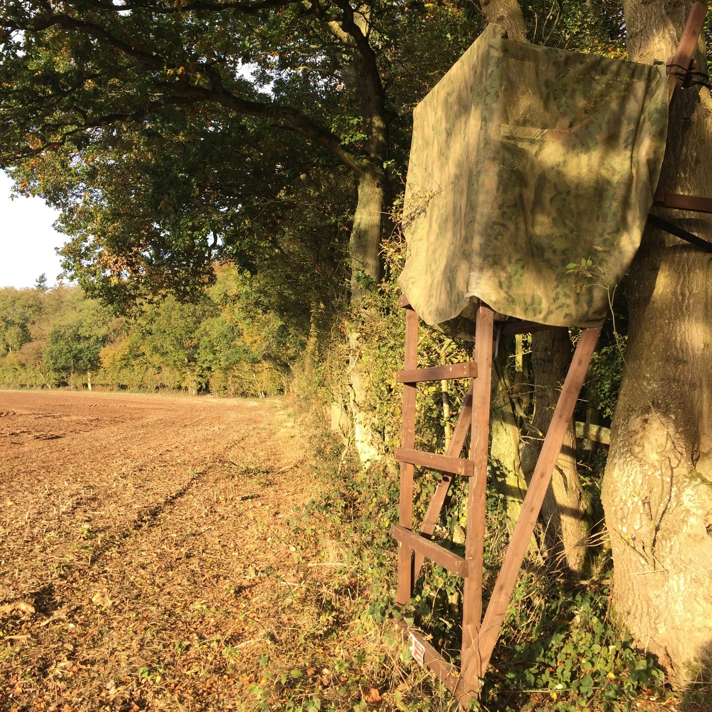 DEER STALKING OUTING - UNACCOMPANIED HIGH SEAT