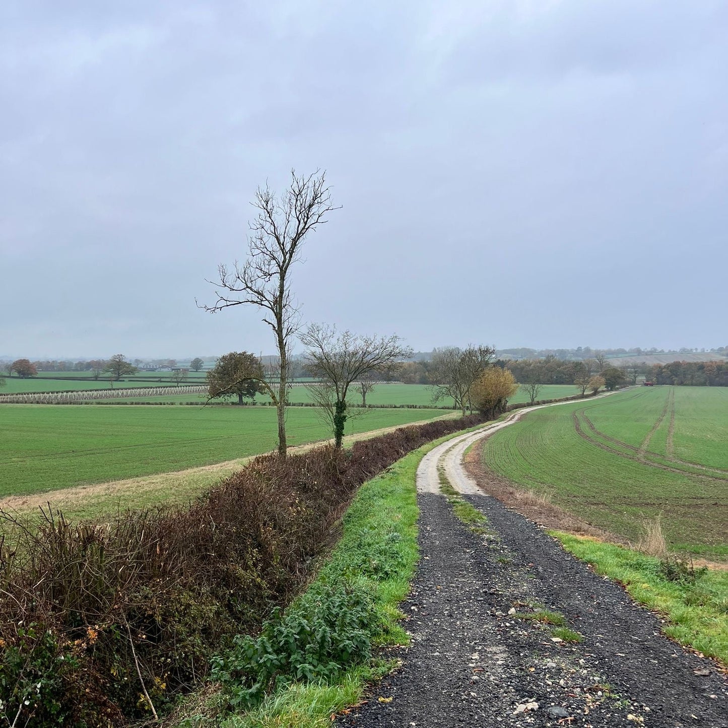 Buckinghampshire - Near Milton Keynes MK17 - Cull & Management Day