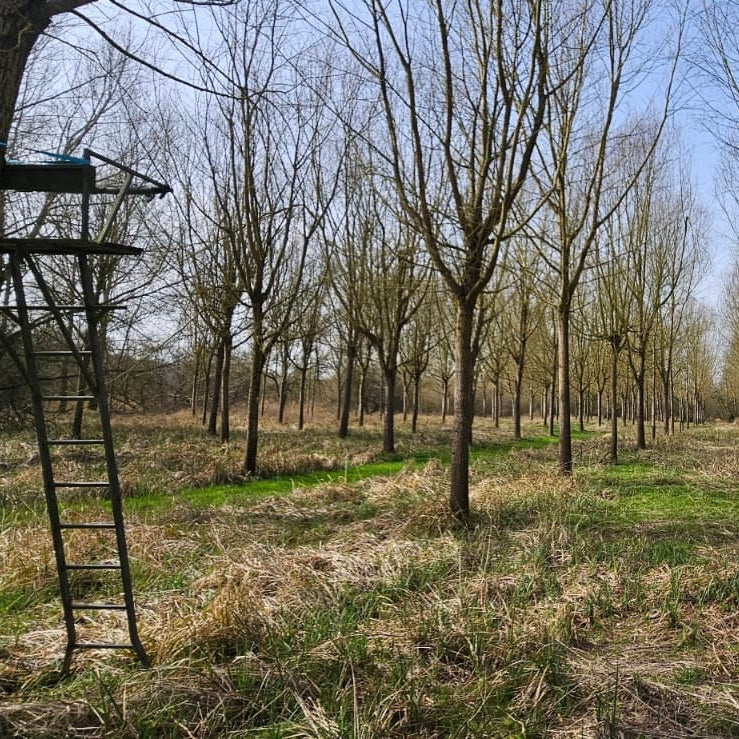 Berkshire - Near Kintbury RG17 - Unguided Stalking