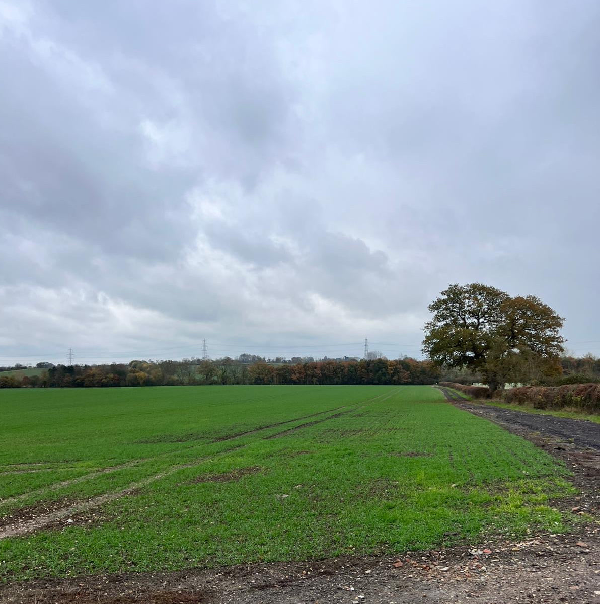 Buckinghampshire - Near Milton Keynes MK17 - Cull & Management Day
