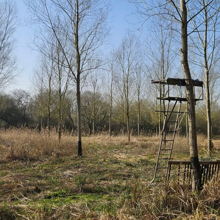 Berkshire - Near Kintbury RG17 - Unguided Stalking
