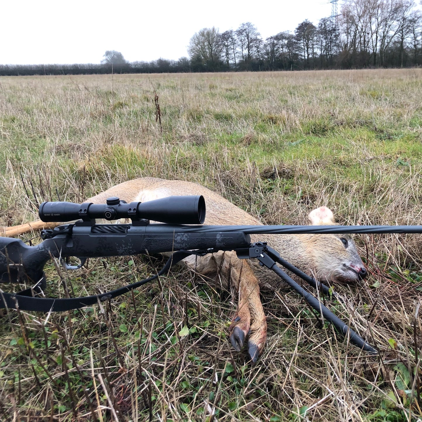 CWD CULLING (NORTH BUCKINGHAMSHIRE - MK17) - CHINESE WATER DEER CULL DAYS FOR 1-6 PEOPLE