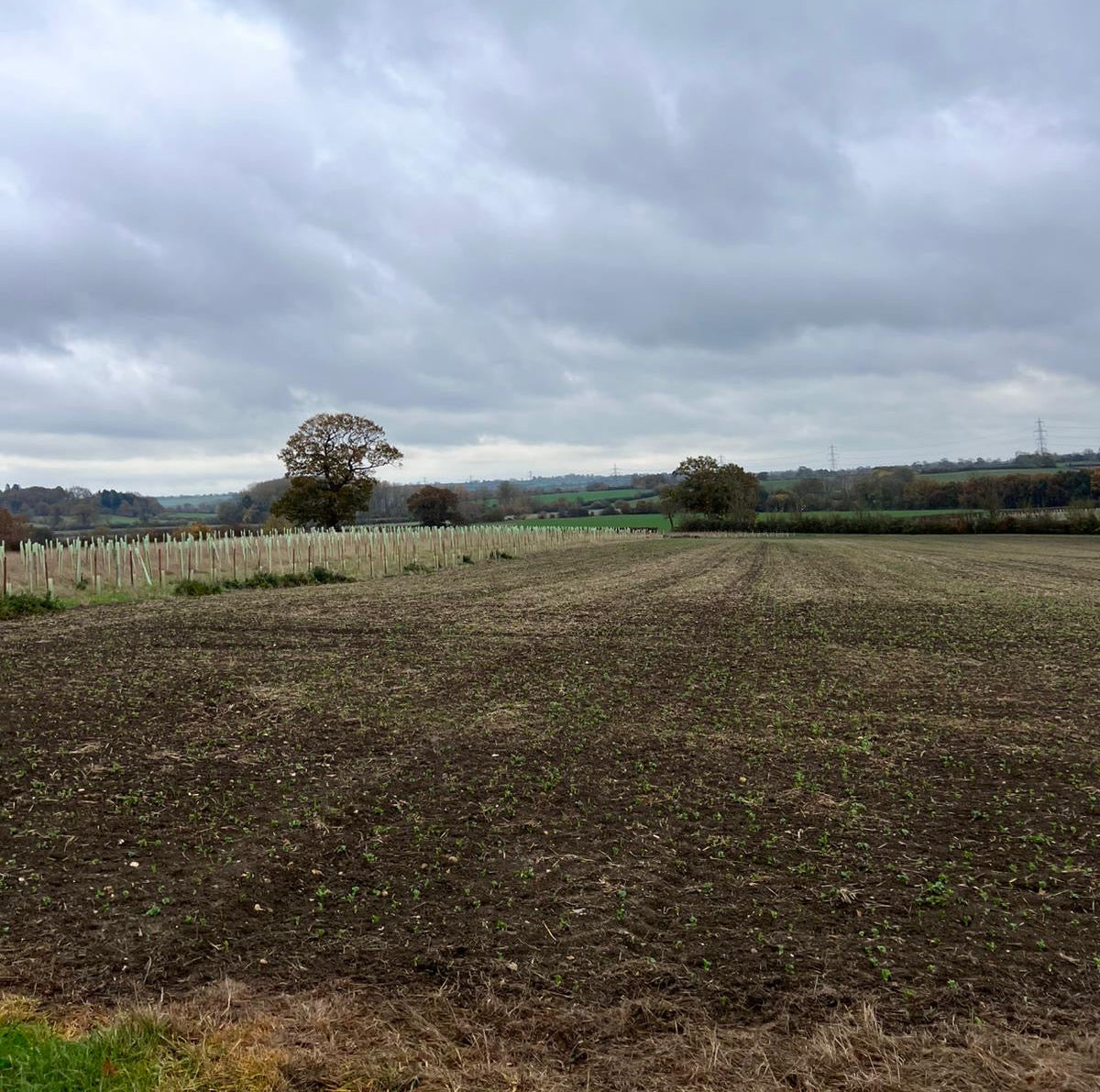 Buckinghamshire - Near Milton Keynes MK17 - Guided Stalking