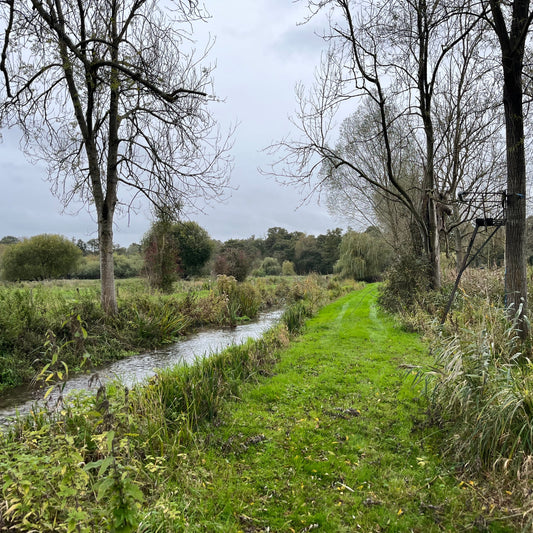 Berkshire - Near Kintbury RG17 - Guided Stalking