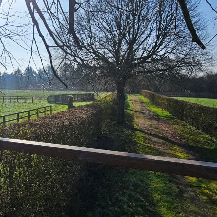 Berkshire - Near Kintbury RG17 - Unguided Stalking