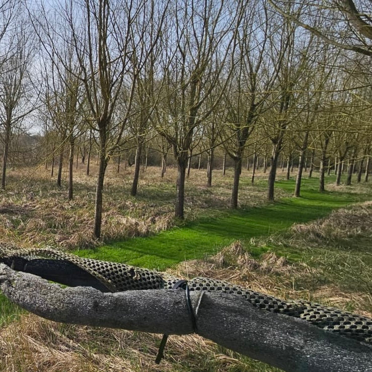 Berkshire - Near Kintbury RG17 - Unguided Stalking
