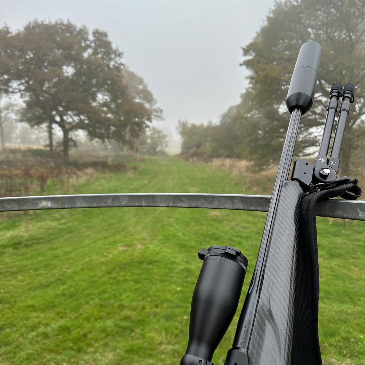 FALLOW, ROE & MUNTJAC DOE CULLING (HAMPSHIRE - NEAR ANDOVER SP11) - NO SHOT FEES, UNLIMITED CULL DAYS FOR 1-9 PEOPLE