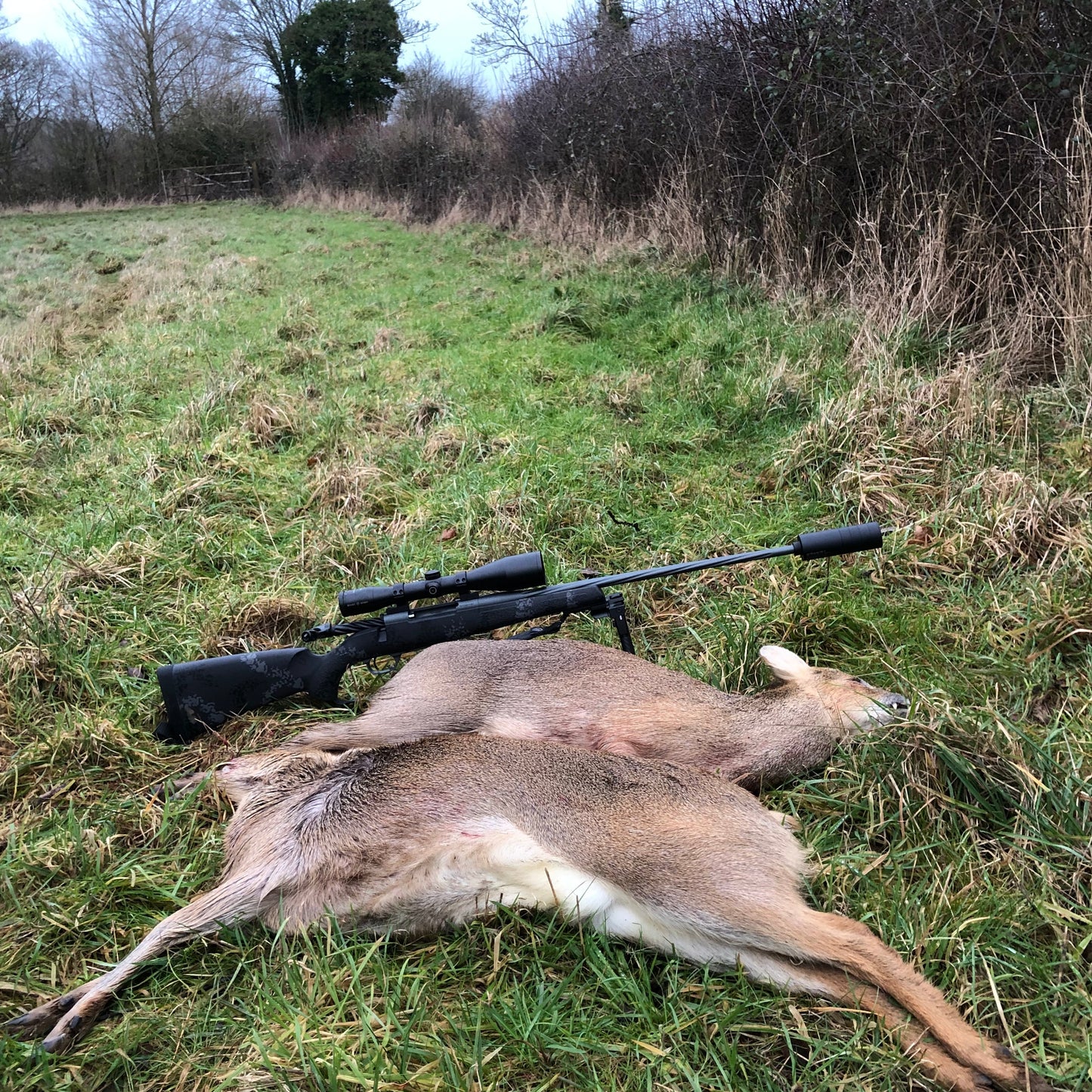 CWD CULLING (NORTH BUCKINGHAMSHIRE - MK17) - CHINESE WATER DEER CULL DAYS FOR 1-6 PEOPLE