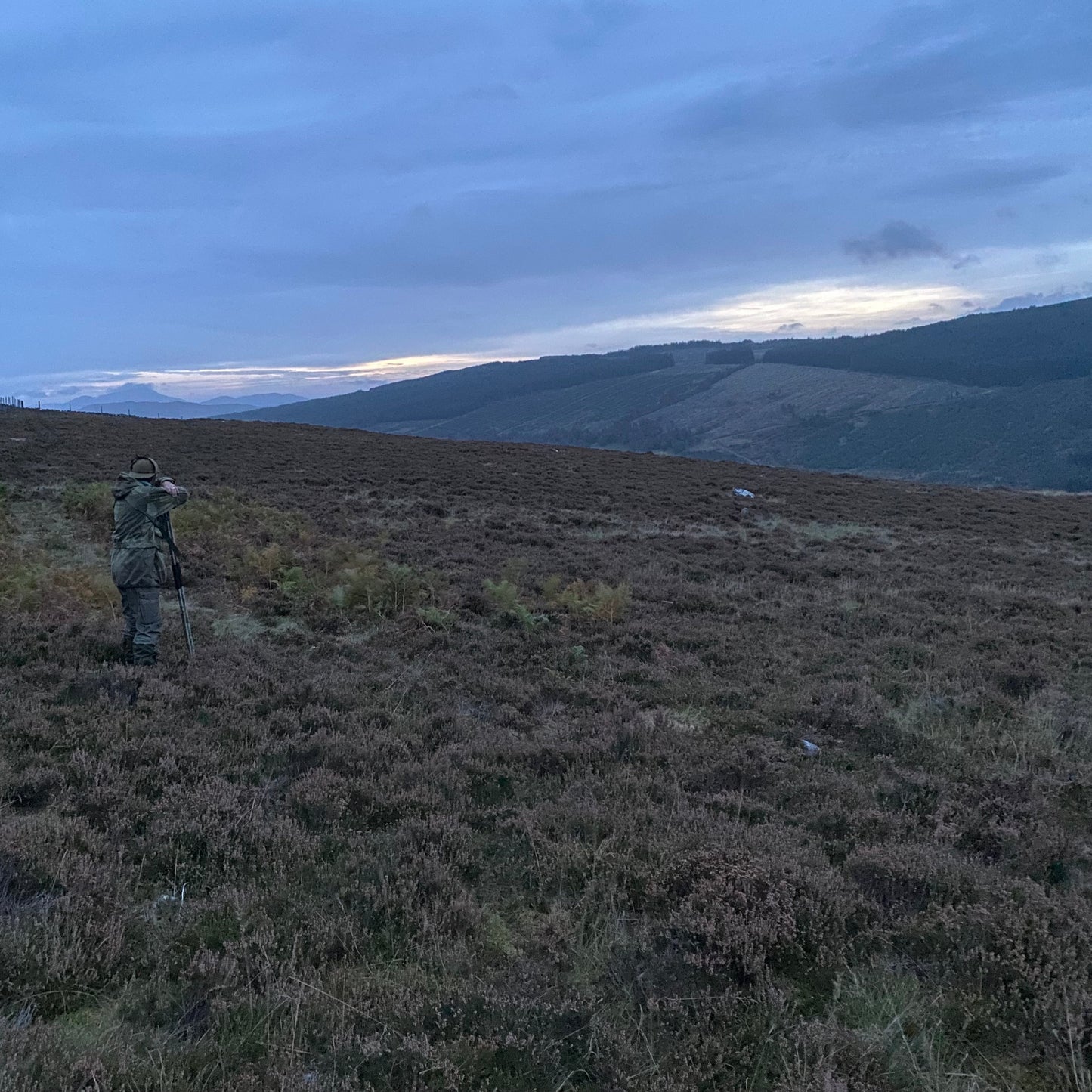 Scotland - Near Pitlochry PH18 - Guided Stalking