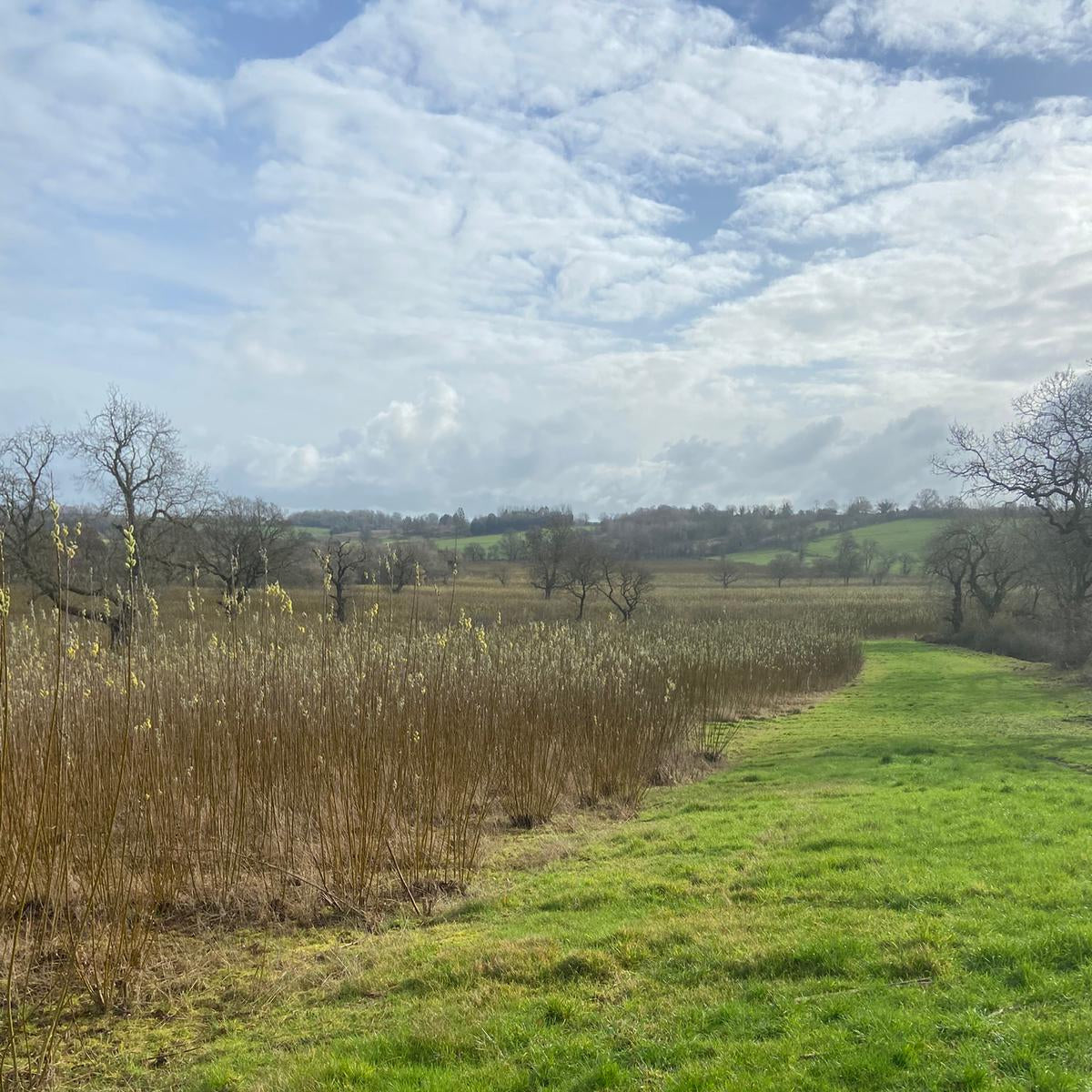 Yorkshire - Near Harewood LS17 - Guided Stalking